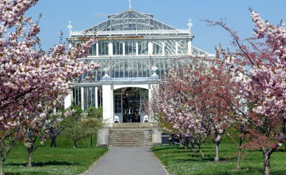 Kew Gardens and Palace , Richmond