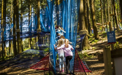Zip World Treetop Nets